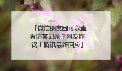 微信朋友圈可以查看访客记录？网友炸锅！腾讯最新回应