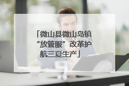微山县微山岛镇“放管服”改革护航三夏生产