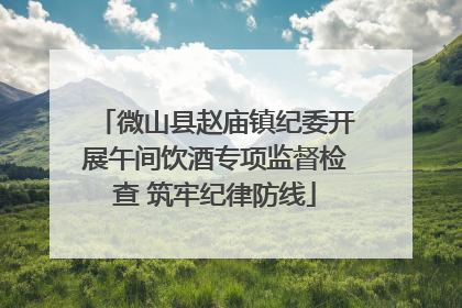 微山县赵庙镇纪委开展午间饮酒专项监督检查 筑牢纪律防线