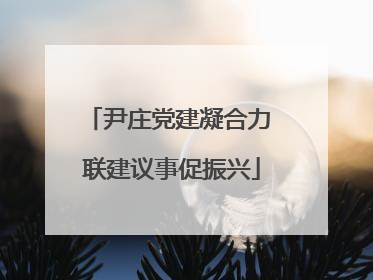 尹庄党建凝合力 联建议事促振兴