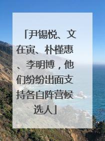 尹锡悦、文在寅、朴槿惠、李明博，他们纷纷出面支持各自阵营候选人