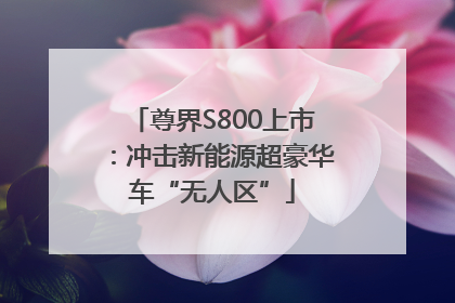 尊界S800上市：冲击新能源超豪华车“无人区”