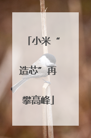 小米“造芯”再攀高峰