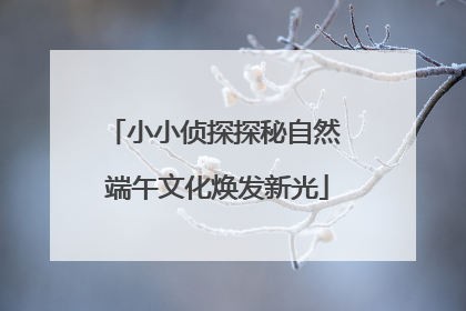 小小侦探探秘自然 端午文化焕发新光