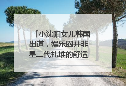 小沈阳女儿韩国出道，娱乐圈并非星二代扎堆的舒适区｜文艺评论