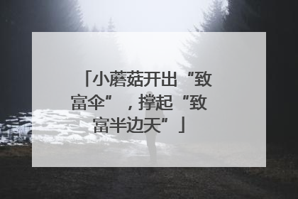小蘑菇开出“致富伞”，撑起“致富半边天”