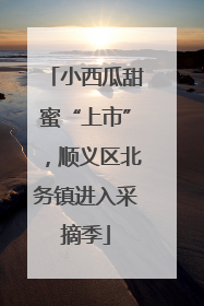 小西瓜甜蜜“上市”，顺义区北务镇进入采摘季