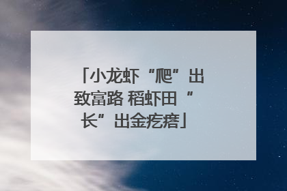 小龙虾“爬”出致富路 稻虾田“长”出金疙瘩