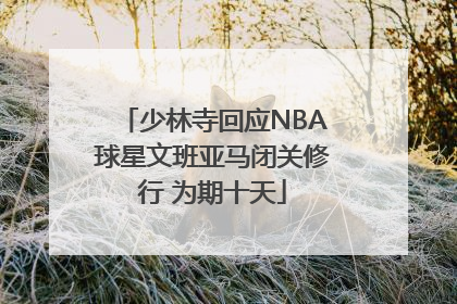 少林寺回应NBA球星文班亚马闭关修行 为期十天