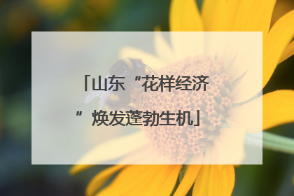 山东“花样经济”焕发蓬勃生机