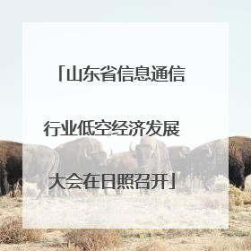 山东省信息通信行业低空经济发展大会在日照召开