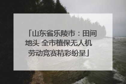 山东省乐陵市：田间地头 全市植保无人机劳动竞赛精彩纷呈