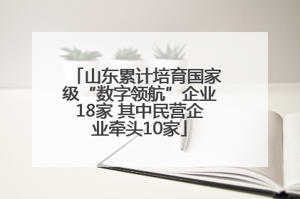 山东累计培育国家级“数字领航”企业18家 其中民营企业牵头10家