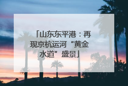 山东东平港：再现京杭运河“黄金水道”盛景