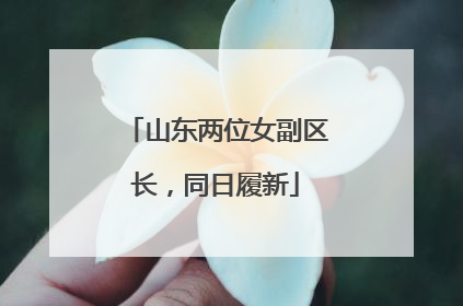 山东两位女副区长，同日履新