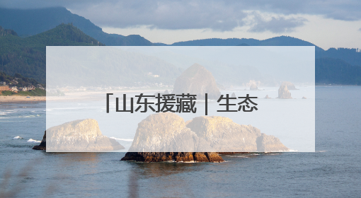 山东援藏｜生态援藏，戈壁滩上的“潍坊魔法”