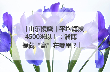 山东援藏｜平均海拔4500米以上：淄博援藏“高”在哪里？