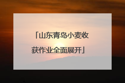 山东青岛小麦收获作业全面展开