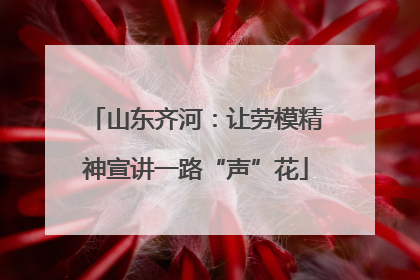 山东齐河：让劳模精神宣讲一路“声”花
