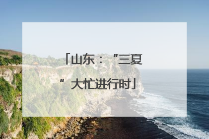 山东：“三夏”大忙进行时