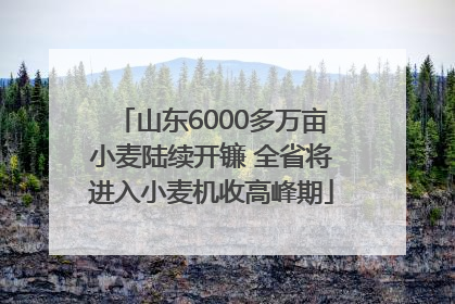 山东6000多万亩小麦陆续开镰 全省将进入小麦机收高峰期
