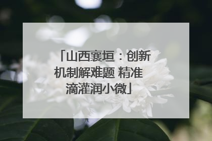 山西襄垣：创新机制解难题 精准滴灌润小微