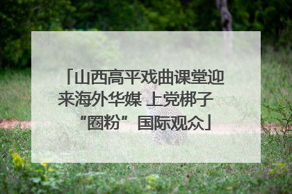 山西高平戏曲课堂迎来海外华媒 上党梆子“圈粉”国际观众