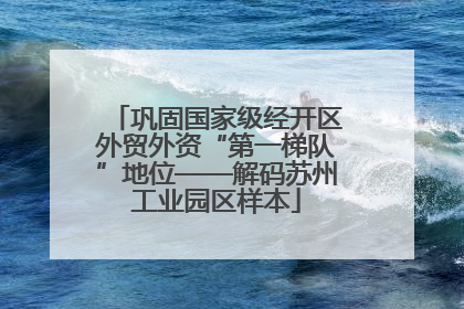 巩固国家级经开区外贸外资“第一梯队”地位——解码苏州工业园区样本
