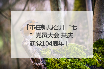 市住新局召开“七一”党员大会 共庆建党104周年