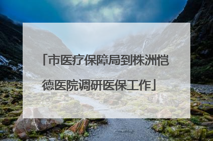 市医疗保障局到株洲恺德医院调研医保工作