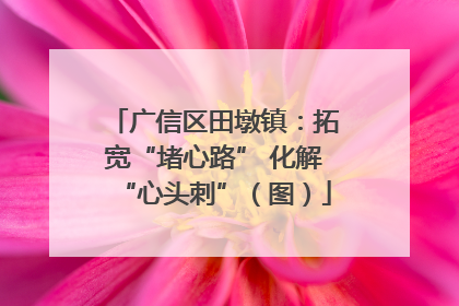 广信区田墩镇：拓宽“堵心路” 化解“心头刺”（图）