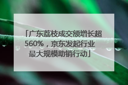 广东荔枝成交额增长超560%，京东发起行业最大规模助销行动