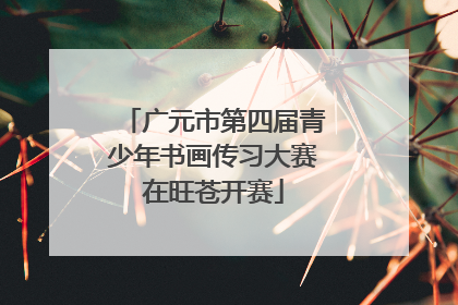 广元市第四届青少年书画传习大赛在旺苍开赛