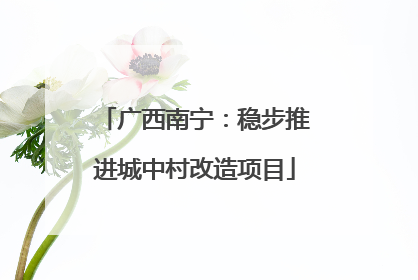 广西南宁：稳步推进城中村改造项目