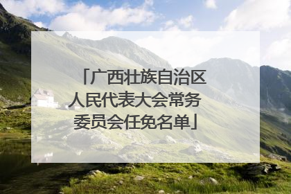 广西壮族自治区人民代表大会常务委员会任免名单