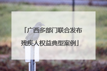 广西多部门联合发布残疾人权益典型案例