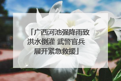 广西河池强降雨致洪水倒灌 武警官兵展开紧急救援