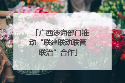 广西涉海部门推动“联建联动联管联治”合作