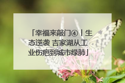 幸福来敲门④丨生态逆袭 吉家湖从工业伤疤到城市绿肺