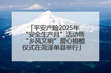 平安产险2025年“安全生产月”活动暨“乡风文明”爱心捐赠仪式在菏泽单县举行