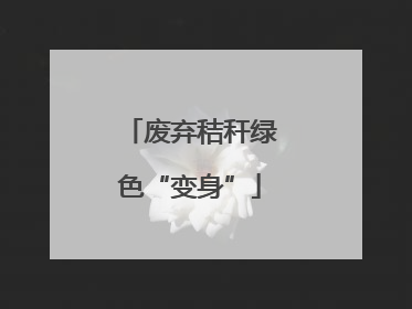 废弃秸秆绿色“变身”