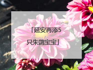 延安再添5只朱鹮宝宝