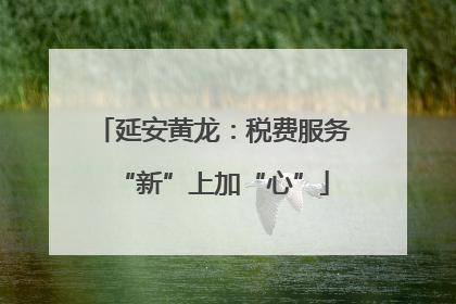 延安黄龙：税费服务“新”上加“心”