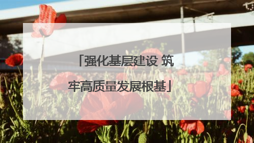 强化基层建设 筑牢高质量发展根基