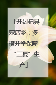 开封杞县宗店乡：多措并举保障“三夏”生产