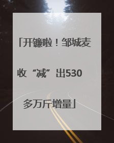 开镰啦！邹城麦收“减”出530多万斤增量