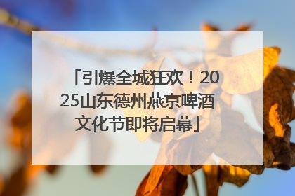 引爆全城狂欢！2025山东德州燕京啤酒文化节即将启幕