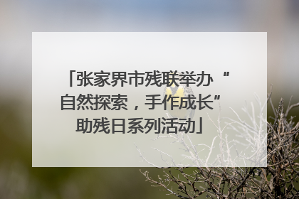 张家界市残联举办“自然探索，手作成长”助残日系列活动