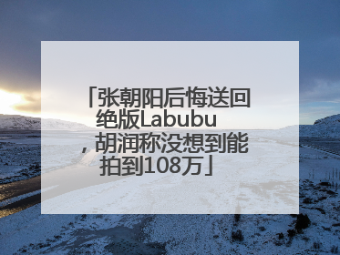 张朝阳后悔送回绝版Labubu，胡润称没想到能拍到108万