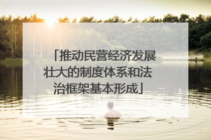 推动民营经济发展壮大的制度体系和法治框架基本形成